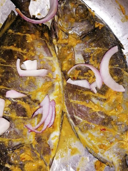 Oven Grill Tafi Fish